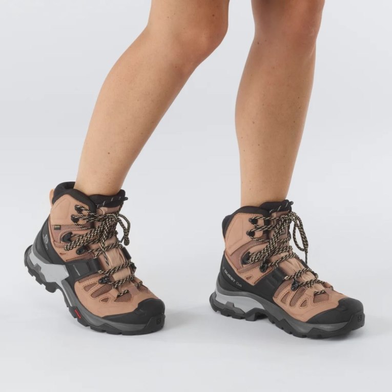 Brown / Black Salomon Quest 4 GTX Women's Hiking Boots | PH 32689J